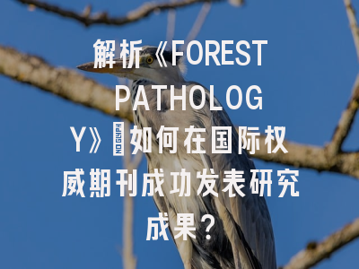 解析《FOREST PATHOLOGY》：如何在国际权威期刊成功发表研究成果？