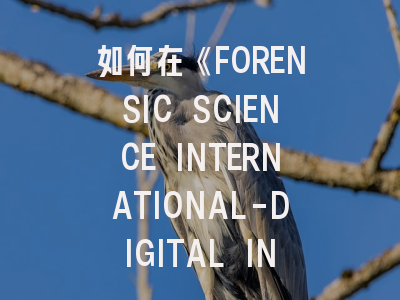 如何在《FORENSIC SCIENCE INTERNATIONAL-DIGITAL INVESTIGATION》成功发表数字取证研究成果？