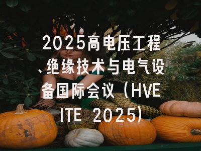 2025高电压工程、绝缘技术与电气设备国际会议（HVEITE 2025）