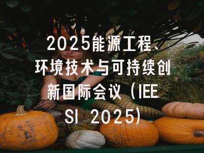 2025能源工程、环境技术与可持续创新国际会议(IEESI 2025)