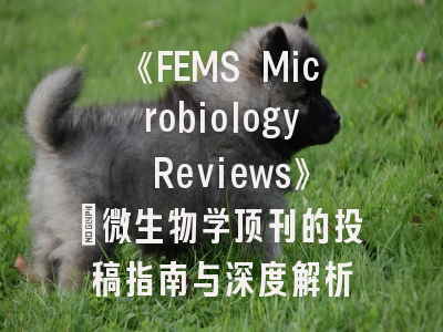 《FEMS Microbiology Reviews》：微生物学顶刊的投稿指南与深度解析