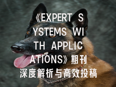 《EXPERT SYSTEMS WITH APPLICATIONS》期刊深度解析与高效投稿指南