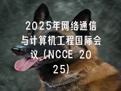 2025年网络通信与计算机工程国际会议（NCCE 2025）