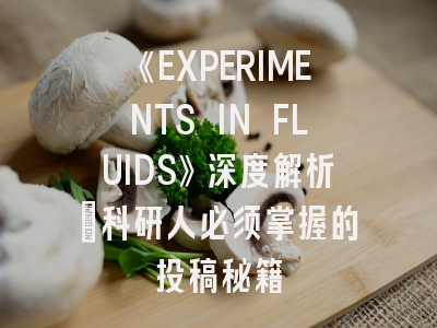 《EXPERIMENTS IN FLUIDS》深度解析：科研人必须掌握的投稿秘籍