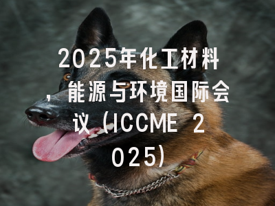 2025年化工材料,能源与环境国际会议(ICCME 2025)