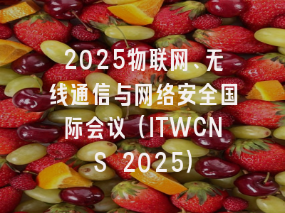2025物联网、无线通信与网络安全国际会议(ITWCNS 2025)
