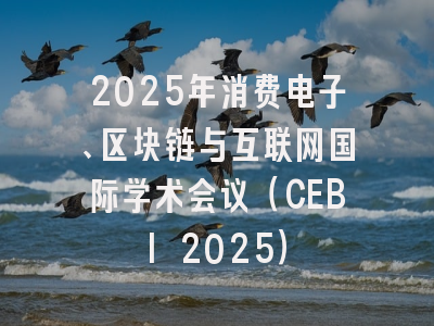 2025年消费电子、区块链与互联网国际学术会议（CEBI 2025）