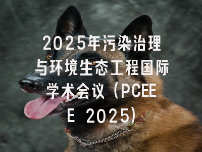 2025年污染治理与环境生态工程国际学术会议（PCEEE 2025）