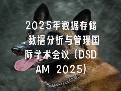 2025年数据存储、数据分析与管理国际学术会议(DSDAM 2025)