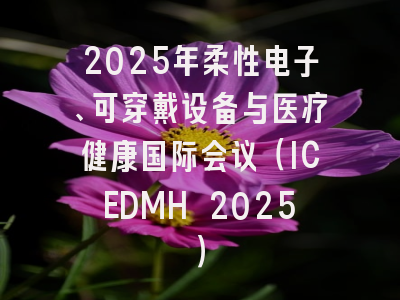 2025年柔性电子、可穿戴设备与医疗健康国际会议(ICEDMH 2025)