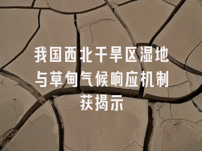 我国西北干旱区湿地与草甸气候响应机制获揭示
