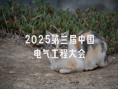 2025第三届中国电气工程大会
