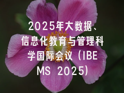 2025年大数据、信息化教育与管理科学国际会议(IBEMS 2025)