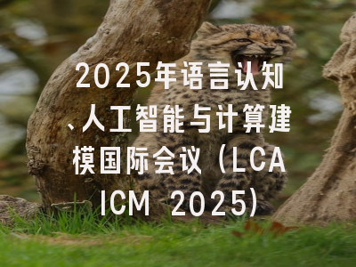 2025年语言认知、人工智能与计算建模国际会议(LCAICM 2025)