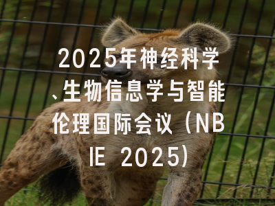 2025年神经科学、生物信息学与智能伦理国际会议(NBIE 2025)