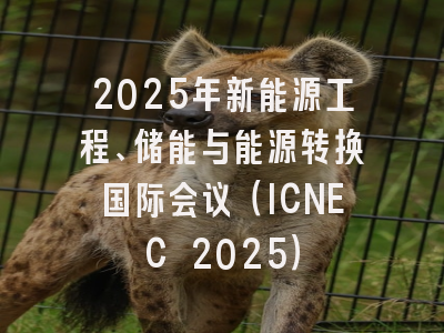 2025年新能源工程、储能与能源转换国际会议(ICNEC 2025)