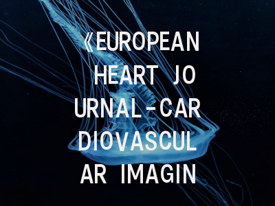 《EUROPEAN HEART JOURNAL-CARDIOVASCULAR IMAGING》投稿全攻略：如何把握黄金投稿期？