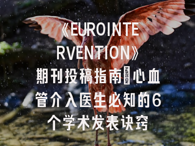 《EUROINTERVENTION》期刊投稿指南：心血管介入医生必知的6个学术发表诀窍