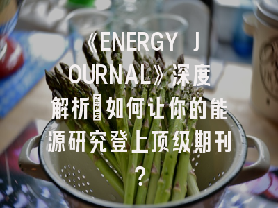 《ENERGY JOURNAL》深度解析：如何让你的能源研究登上顶级期刊？
