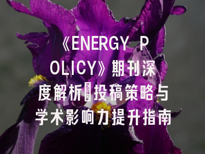 《ENERGY POLICY》期刊深度解析:投稿策略与学术影响力提升指南