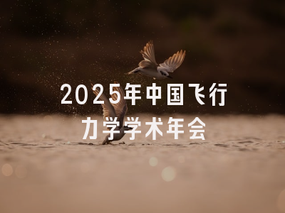 2025年中国飞行力学学术年会
