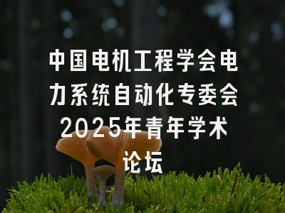 中国电机工程学会电力系统自动化专委会2025年青年学术论坛