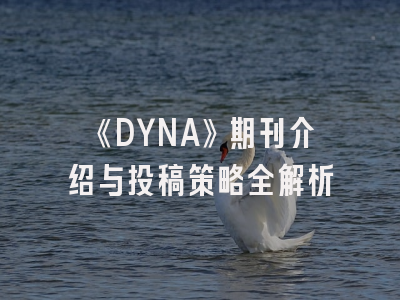 《DYNA》期刊介绍与投稿策略全解析
