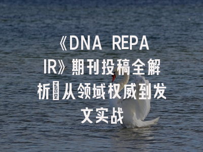 《DNA REPAIR》期刊投稿全解析：从领域权威到发文实战