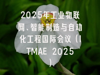 2025年工业物联网、智能制造与自动化工程国际会议(ITMAE 2025)