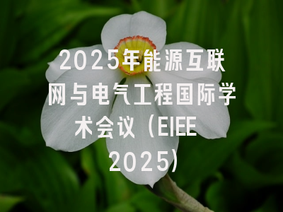 2025年能源互联网与电气工程国际学术会议（EIEE 2025）