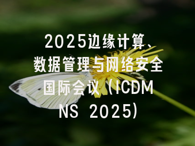 2025边缘计算、数据管理与网络安全国际会议（ICDMNS 2025）