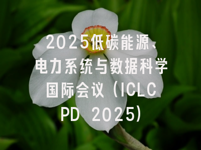 2025低碳能源、电力系统与数据科学国际会议(ICLCPD 2025)