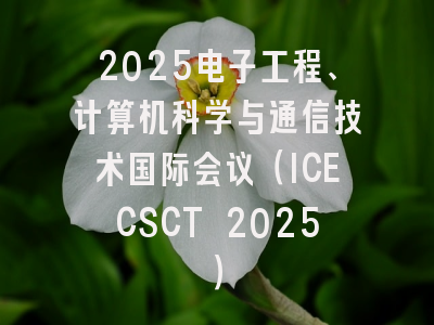 2025电子工程、计算机科学与通信技术国际会议（ICECSCT 2025）