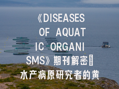 《DISEASES OF AQUATIC ORGANISMS》期刊解密:水产病原研究者的黄金投稿指南