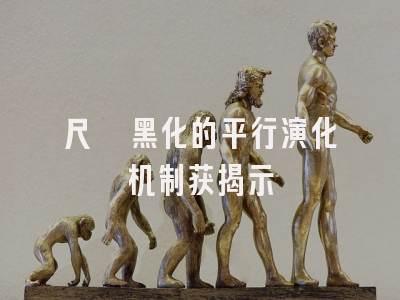 尺蠖黑化的平行演化机制获揭示