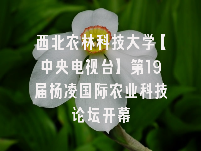 西北农林科技大学【中央电视台】第19届杨凌国际农业科技论坛开幕