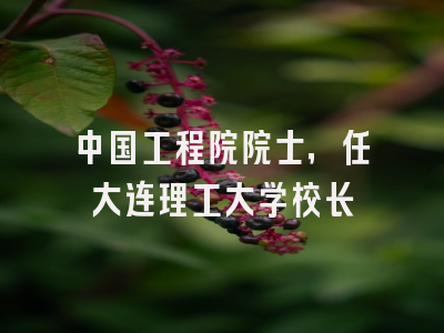 中国工程院院士,任大连理工大学校长