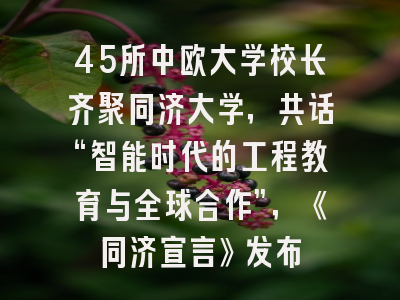 45所中欧大学校长齐聚同济大学,共话“智能时代的工程教育与全球合作”,《同济宣言》发布