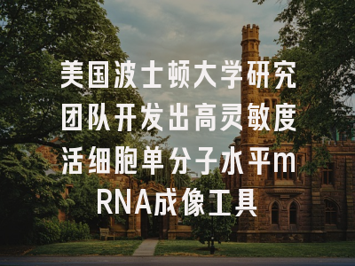 美国波士顿大学研究团队开发出高灵敏度活细胞单分子水平mRNA成像工具
