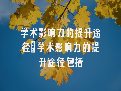 学术影响力的提升途径_学术影响力的提升途径包括