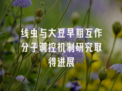 线虫与大豆早期互作分子调控机制研究取得进展