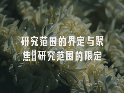 研究范围的界定与聚焦_研究范围的限定