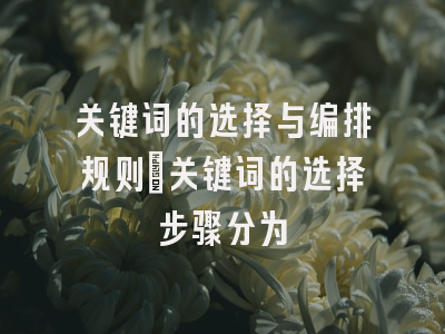 关键词的选择与编排规则_关键词的选择步骤分为