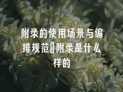 附录的使用场景与编排规范_附录是什么样的