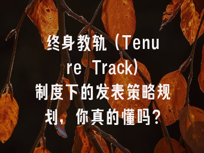 终身教轨（Tenure Track）制度下的发表策略规划，你真的懂吗？
