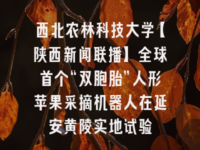 西北农林科技大学【陕西新闻联播】全球首个“双胞胎”人形苹果采摘机器人在延安黄陵实地试验