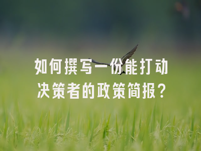 如何撰写一份能打动决策者的政策简报？