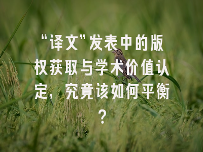 “译文”发表中的版权获取与学术价值认定,究竟该如何平衡?
