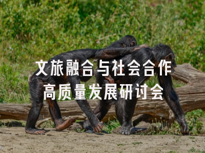 文旅融合与社会合作高质量发展研讨会
