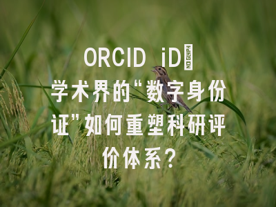 ORCID iD：学术界的“数字身份证”如何重塑科研评价体系？